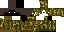 Texture for Monkey