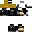 Texture for Steve B