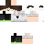 Texture for Ds_Veloc DP