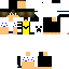 Texture for guigui2020