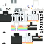 Texture for Steve