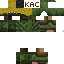 Texture for Goldy renger