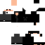 Texture for nika