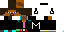 Texture for MigueLegend