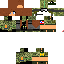 Texture for steve
