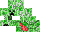 Texture for Practice Creeper