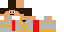 Texture for light paladin