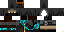 Texture for Ninja