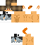 Texture for leo367