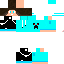 Texture for Gustavo23