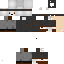Texture for Phantom