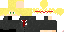 Texture for ウィル