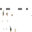 Texture for goose