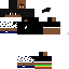 Texture for ds