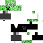 Texture for dan_skins