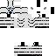 Texture for zebra