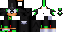 Texture for LSH