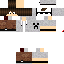 Texture for DigsCraft098