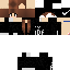 Texture for Ada