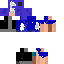 Texture for snow scientist