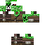 Texture for COOL