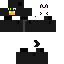 Texture for blach cat