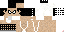 Texture for HK V3