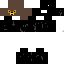 Texture for KowalskiHaha Ninja