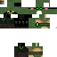 Texture for teemo