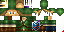 Texture for Link