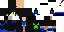 Texture for DeniCDC