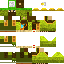 Texture for Pang Tong