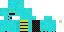 Texture for turtlr