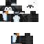 Texture for penguen duru