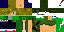 Texture for survivor