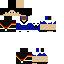 Texture for hoshi8001