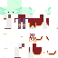 Texture for \