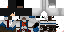 Texture for gonik