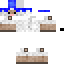 Texture for sheep with hat