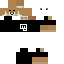 Texture for erik