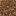 Texture for coarse_dirt.png