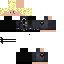 Texture for [Seals Security|/HC\ Commissioner] (DylanCombine) Dylan Jansen