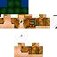 Texture for gtrfsd
