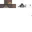 Texture for setolap48
