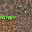 Texture for Patagonian Soil