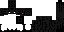 Texture for Ender