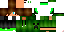 Texture for lucaszi