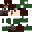 Texture for  [snapshot]