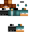 Texture for steve
