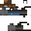 Texture for Simba6453